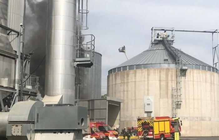 plus de 90 pompiers mobilisés pour un incendie de silo rempli de céréales