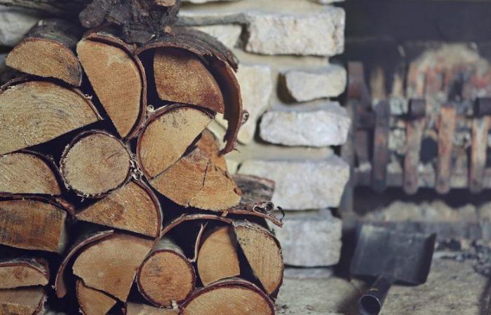 Économisez gros avec cette puissante fendeuse de bûches en vente à prix réduit dès maintenant