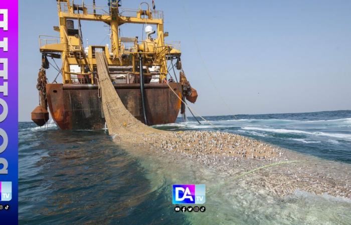 Le Sénégal revendique l’initiative de mettre fin à l’accord de pêche avec l’UE