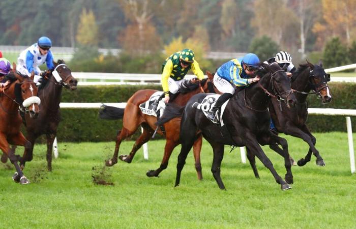 Prix ​​de la Seine-et-Marne (Quinté+) :