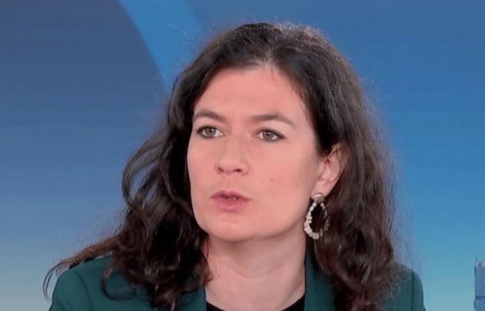 “C’est scandaleux et indigne que ce match ait lieu”, fustige la députée LFI-NFP Nathalie Oziol