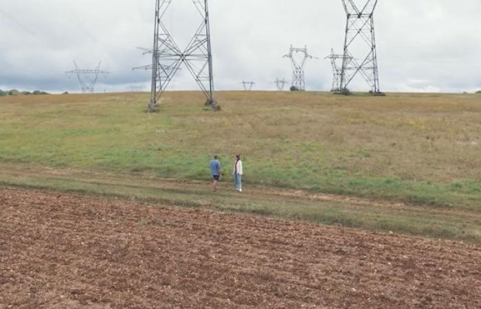 Chasseurs solaires et cultures herbacées en Côte d’Or