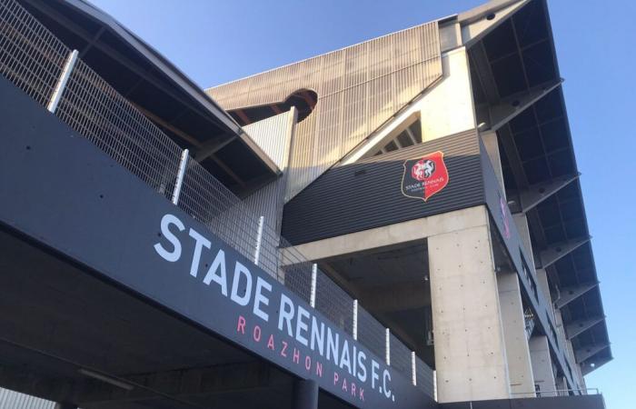 le programme international du SRFC pour les vacances de novembre