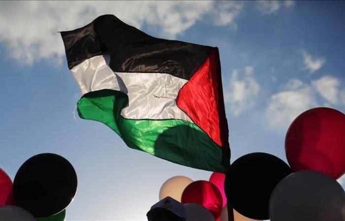 Vers une interdiction du drapeau palestinien dans les institutions publiques