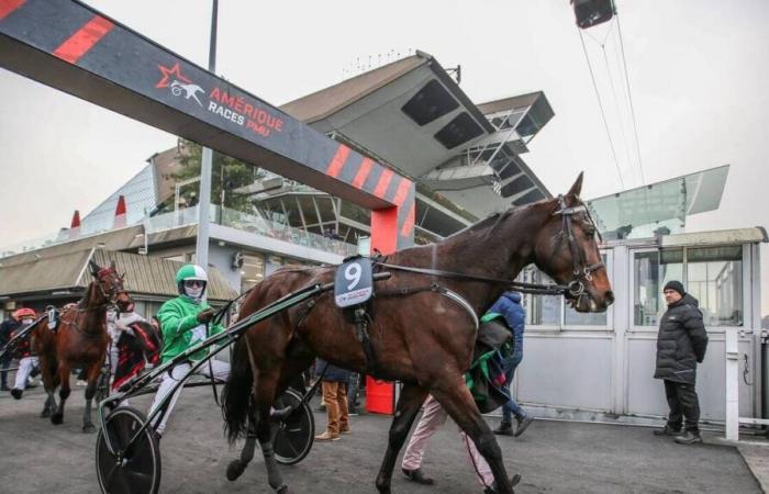 TROT. Le Prix de Bretagne, l’autre élection américaine