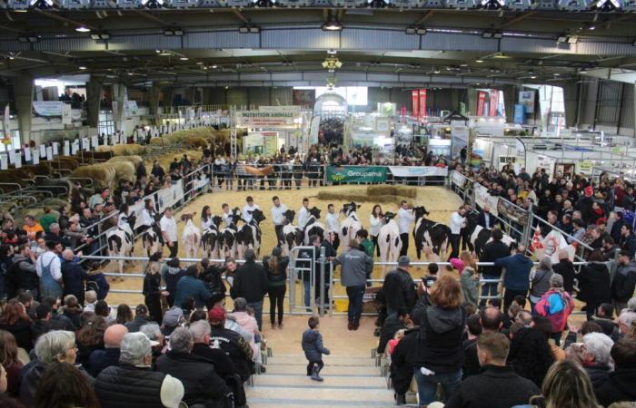 Plus de 70 exposants annoncés pour ce salon unique organisé dans l’Aude