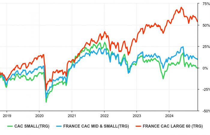 Small Caps – Les derniers choix des stars du management