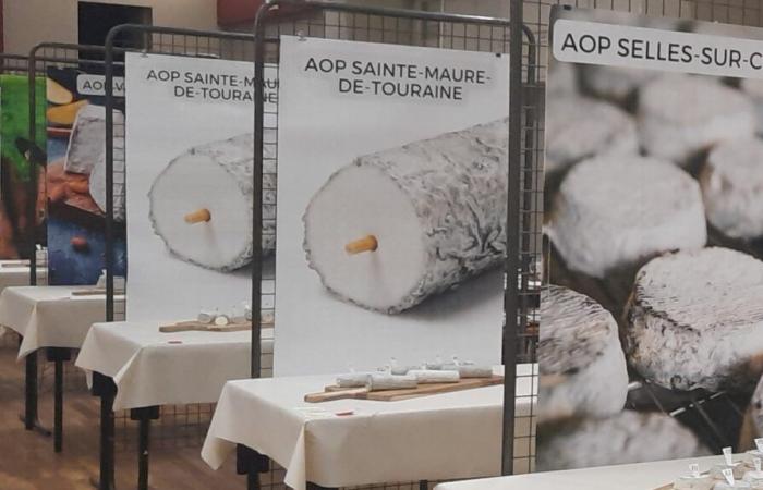 Regional cheese competition: Indre-et-Loire stands out