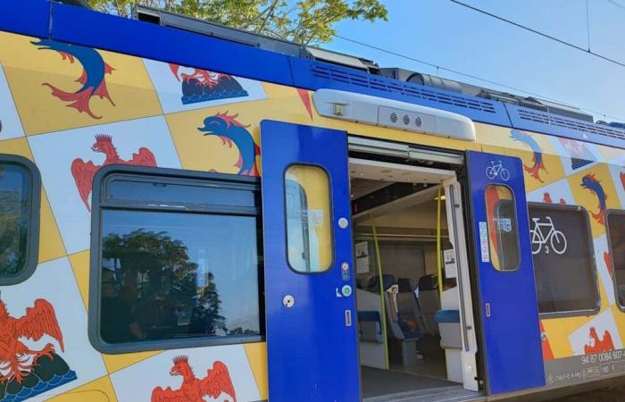 Un incident sur la ligne des Arcs perturbe le trafic ferroviaire