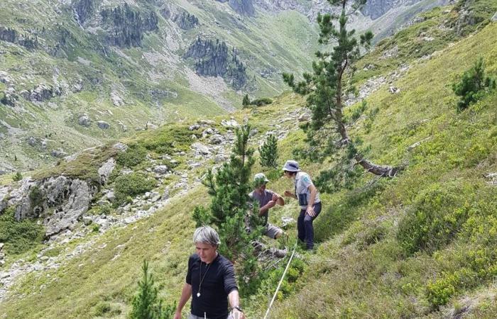 chronique d’une mort annoncée