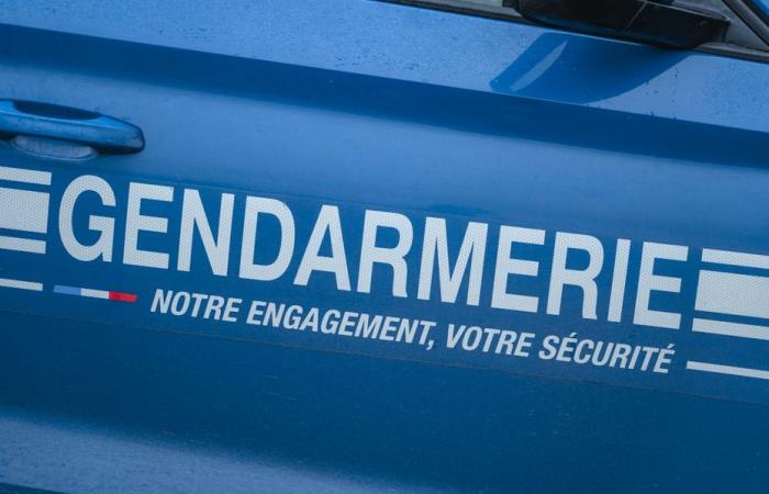 20 personnes arrêtées et sept placées en détention provisoire