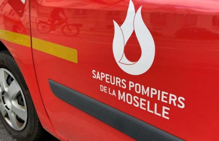 Metz. Un chalet en bois prend feu à La Grange-aux-Bois : un couple a déménagé