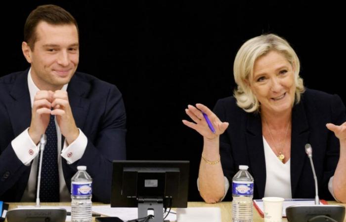 Après la condamnation de Marine Le Pen, quelles sont les conséquences pour le RN ?