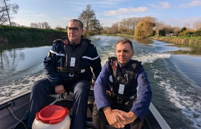 une brigade fluviale pour traquer les infractions dans le Marais poitevin