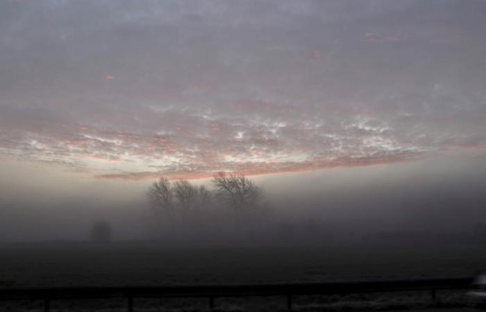 Bulletin météo. Quel temps fait-il ce jeudi 14 novembre dans les Hauts-de-France ?