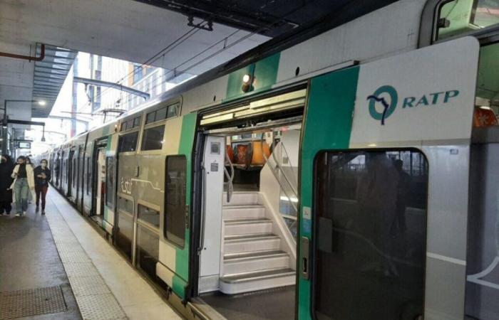 il tombe sur les rails du RER A après une altercation avec des agents de la RATP, un homme hospitalisé