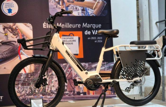 Intersport lance enfin son vélo électrique ultra pratique qui impressionne par son prix