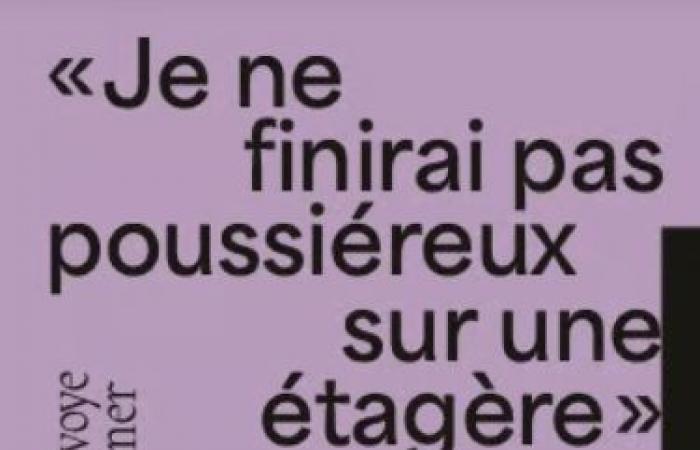 Comment résister à la finitude, par derrière ? (Je ne finirai pas poussiéreux sur une étagère)