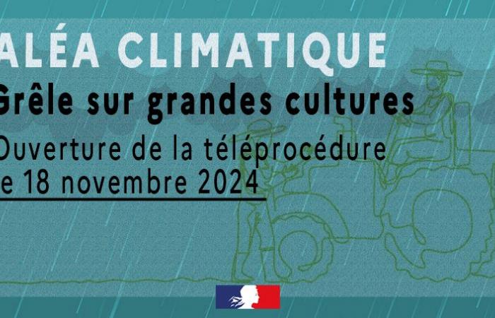 Téléprocédure d’indemnisation des événements de grêle sur les grandes cultures – Aides temporaires et catastrophes agricoles – Agriculture, sylviculture et développement rural – Actions de l’État