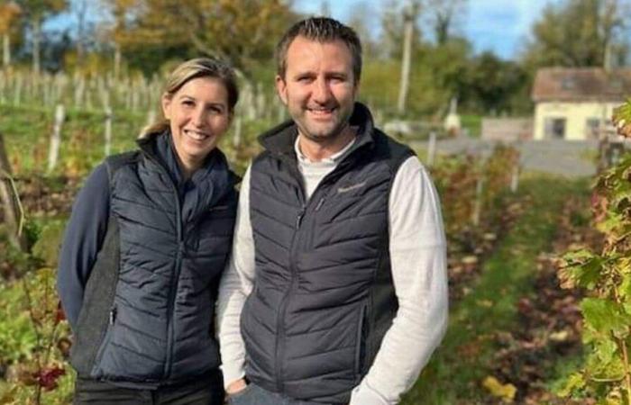 Du Saumur au Calvados, le « vrai défi » du vigneron Sébastien Fricker en Normandie