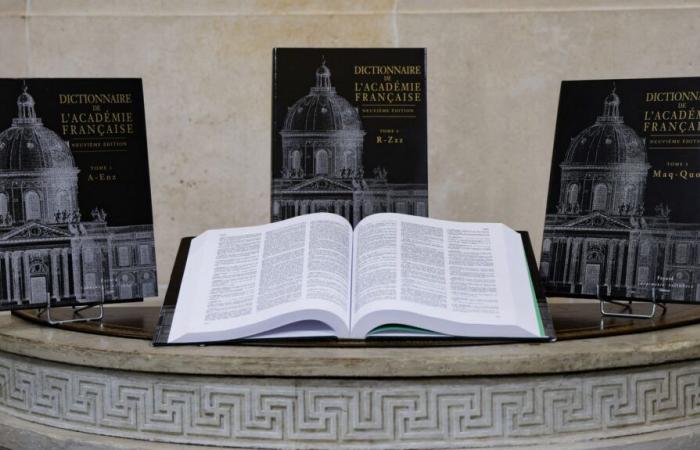 “Une fois terminé, ça ne sert pas à grand chose”, déplore le linguiste Médéric Gasquet-Cyrus.