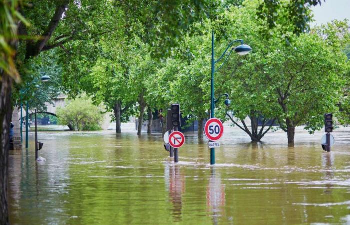 Une réponse naturelle (et radicale) au changement climatique et aux inondations au Royaume-Uni