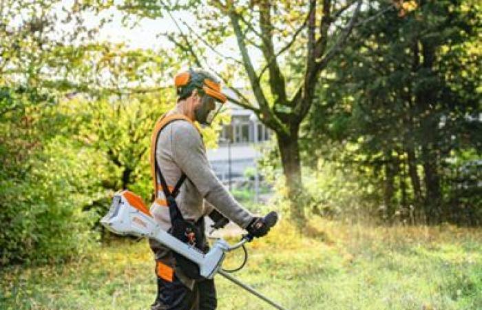 Le puissant travail radiophonique de STIHL conduit à un doublement de la notoriété (+81 %)