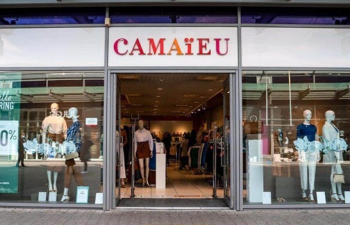 Camaïeu frappe un grand coup pour l’hiver avec sa doudoune anti-froid sans manches – Tuxboard