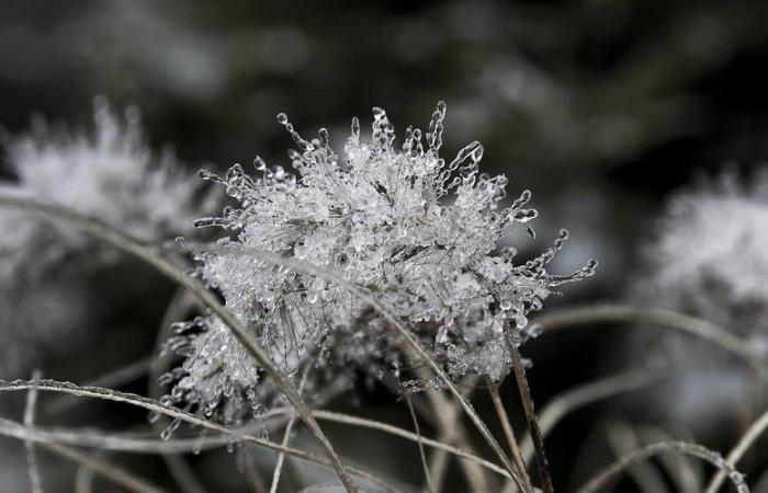 « gelées fréquentes » en Aveyron, – 2,5°C enregistrés… où a-t-il fait le plus froid ce jeudi matin ?