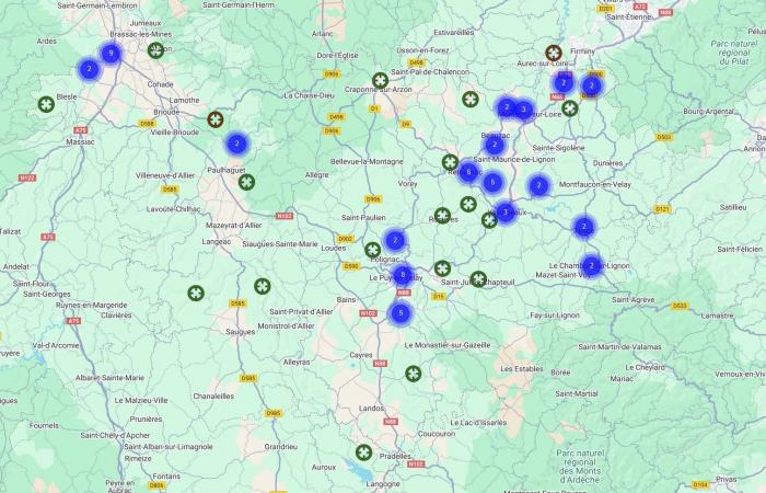 Cette inquiétante invasion du frelon asiatique en Haute-Loire