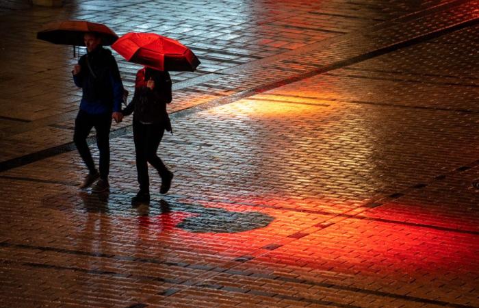 Suggestions culturelles | De bonnes idées pour un bain culturel réussi