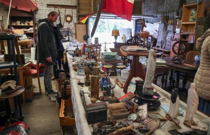 Brocantes les samedi 16 et dimanche 17 novembre dans le Nord et le Pas-de-Calais