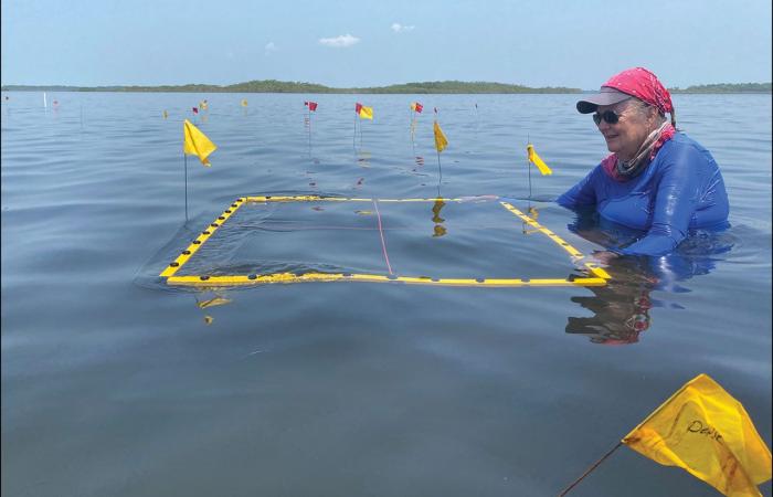 Des chercheurs du LSU fouillent les premières salines mayas antiques