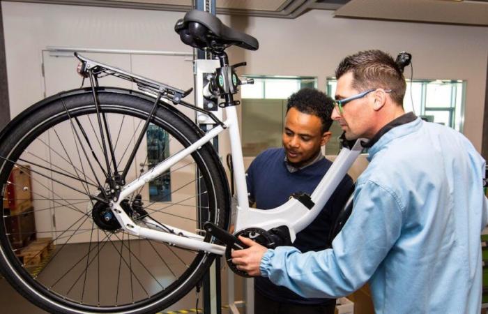 migrants intégrés par la formation et le travail