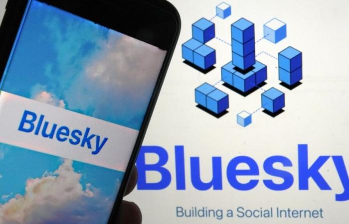 Bluesky gagne 1 million de nouveaux utilisateurs après les élections américaines