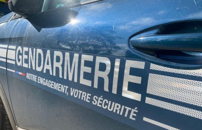 La dispute dans le camping-car dégénère dans le Lot-et-Garonne, une femme alcoolique frappe son compagnon