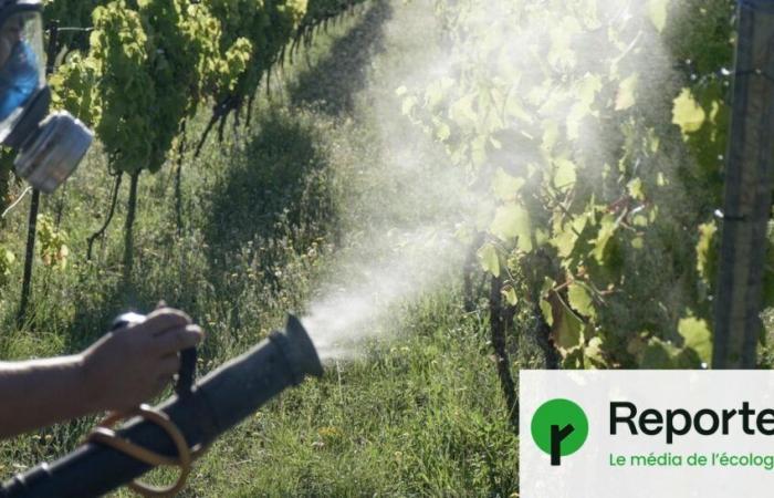 La France poursuivie pour avoir exporté des pesticides interdits