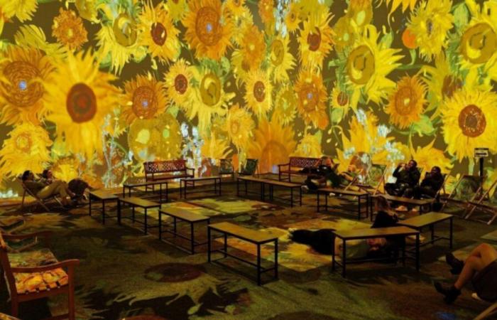 L’incroyable exposition immersive consacrée à Van Gogh débarque à Lille