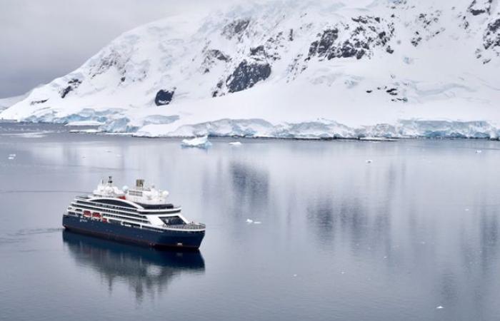 Rencontrer des manchots empereurs en Antarctique