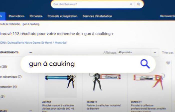 RONA rénove son moteur de recherche français