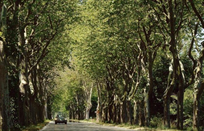 une évocation amoureuse et joyeusement nostalgique d’une France disparue