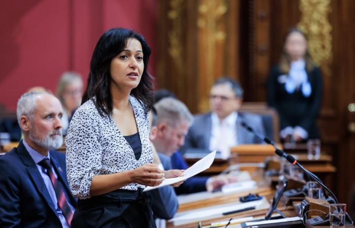 Allégations de racisme à l’Assemblée nationale