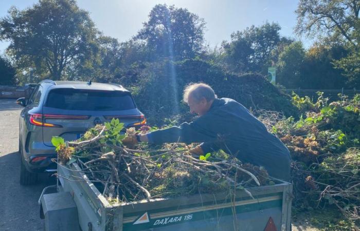 Syded veut réduire les plantes dans les centres de recyclage