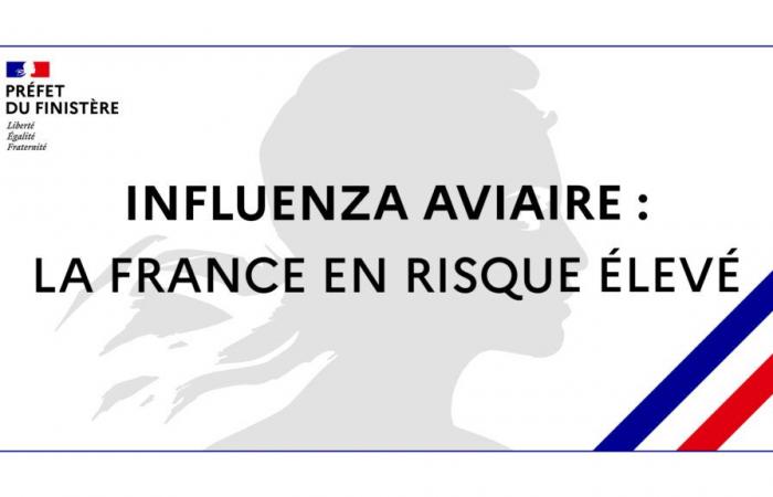 La France est à haut risque depuis le 9 novembre 2024 – Grippe aviaire – Animaux – Actions de l’État