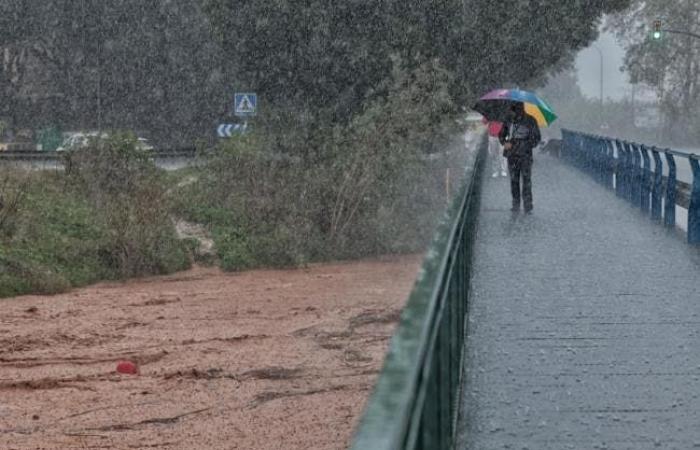 Malaga évite le chaos | Journal Sud