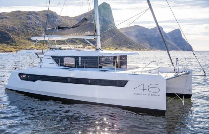 Leopard 46, un hybride confiant