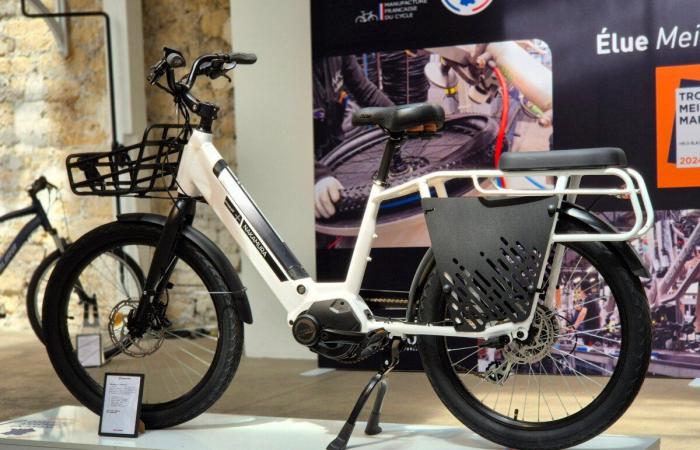 Intersport lance enfin son vélo électrique ultra pratique qui impressionne par son prix