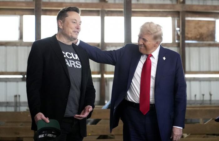 La romance naissante des milliardaires Elon Musk et Donald Trump