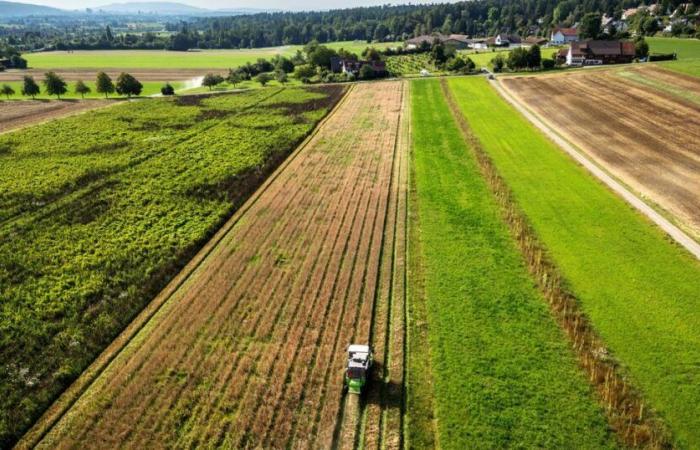 Les agriculteurs suisses séduits par les incitations à éviter les produits phytosanitaires