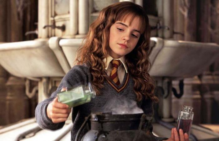 vous devenez Ministre de la Magie si vous obtenez 5/5 à ce quiz sur Hermione Granger